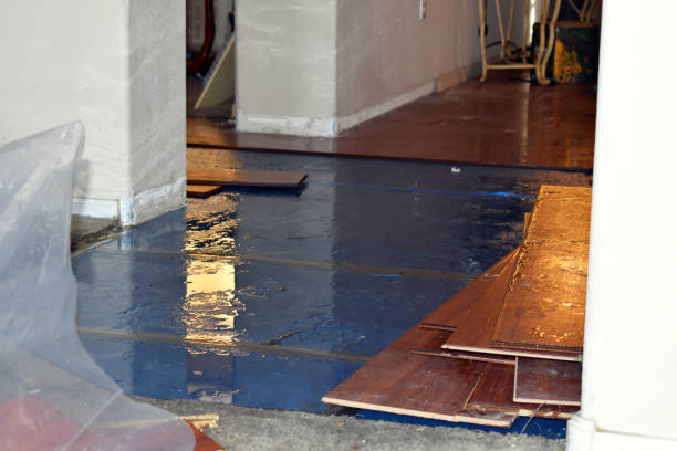 Professional Water Damage Restoration technician working in Shamrock, TX